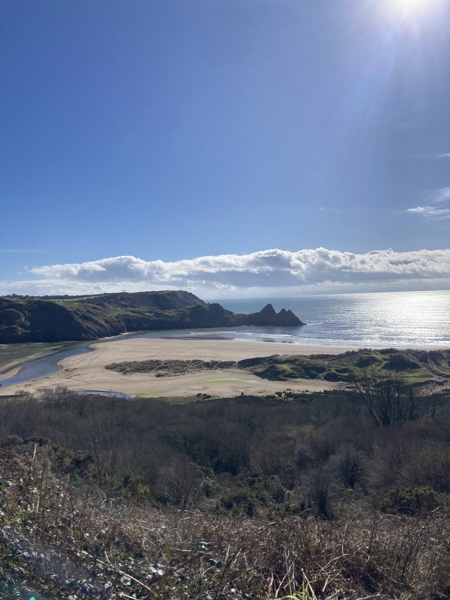 Glorious morning! ☀️