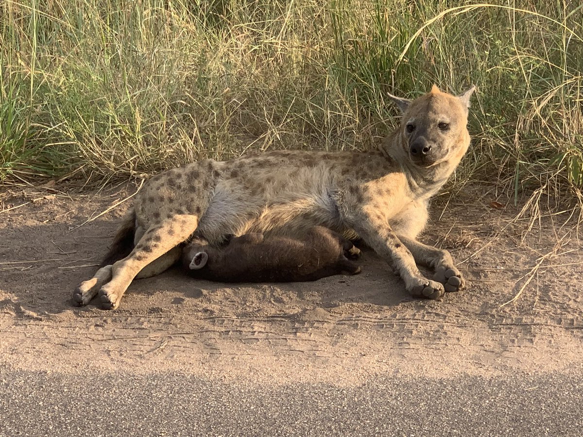 James McKeel tweet media