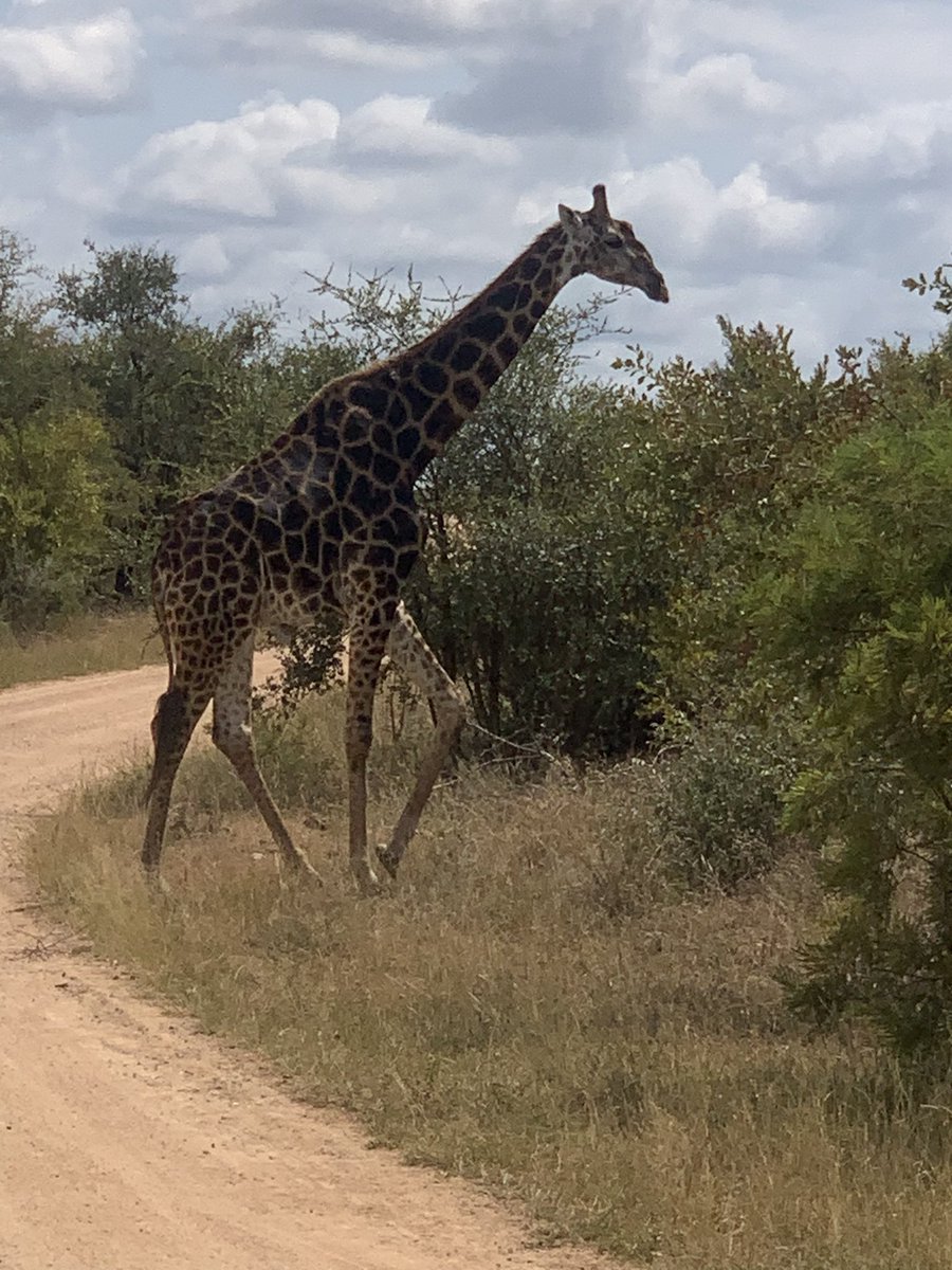 James McKeel tweet media