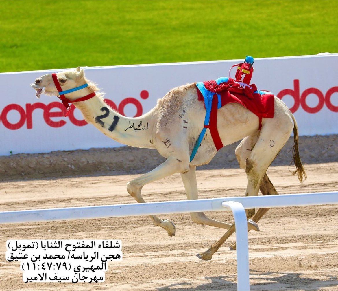 az_4241's tweet photo. الشوط 1 شلفا الثنايا المفتوح 🏆
تمويل لـ هجن الرئاسة
المضمر محمد عتيق بن زيتون المهيري
التوقيت الزمني | 11:47:79
https://t.co/kvr6H8Oy6G

الاب الفارس بعير العاصفة
الام بنت نجد الشيبة

(تاريخ) سابقاً
بياعة حمد عبدالله علي حمد بوهليبه الفلاسي
من إنتاج جمعة عبيد بن حميدان الفلاسي https://t.co/GhzsKyNoem