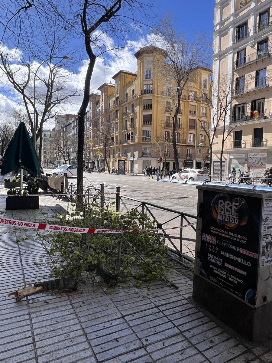 Así es la penosa gestion de los HDFruta de <a href="/AlmeidaPP_/">José Luis Martínez-Almeida</a> y <a href="/IdiazAyuso/">Isabel Díaz Ayuso</a> no solo con las zonas verdes sino con las calles de #Madrid

Hace años estuve a pocos metros de la muerte de un niño por un arbol en <a href="/_ElRetiro/">El Parque del Retiro</a> salida metro Ibiza

No me extrañaría otra desgracia