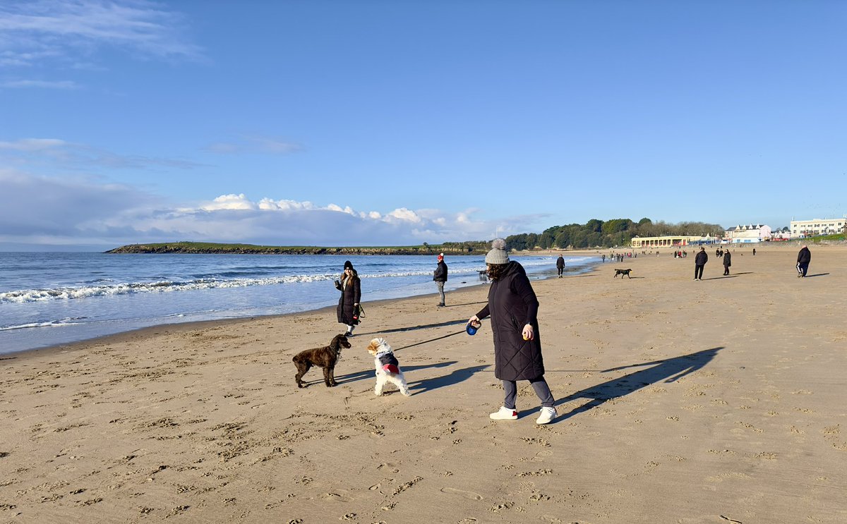 Dog heaven on the island this morning 

@Barrybados @_BARRYISLAND_ @BarryTownOnline @visitthevale @BarryNubNews @barrydistrict