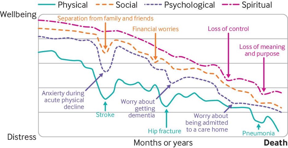 1) Descriu per primera vegada la TRAJECTÒRIA DE FINAL DE VIDA DE MULTIMORBIDITAT, que complementa les ja trajectòries de càncer, malaltia d’òrgan i demència. Més enllà de l’evolució funcional, també descriu els patrons de la seva evolució social, psicològica i existencial.