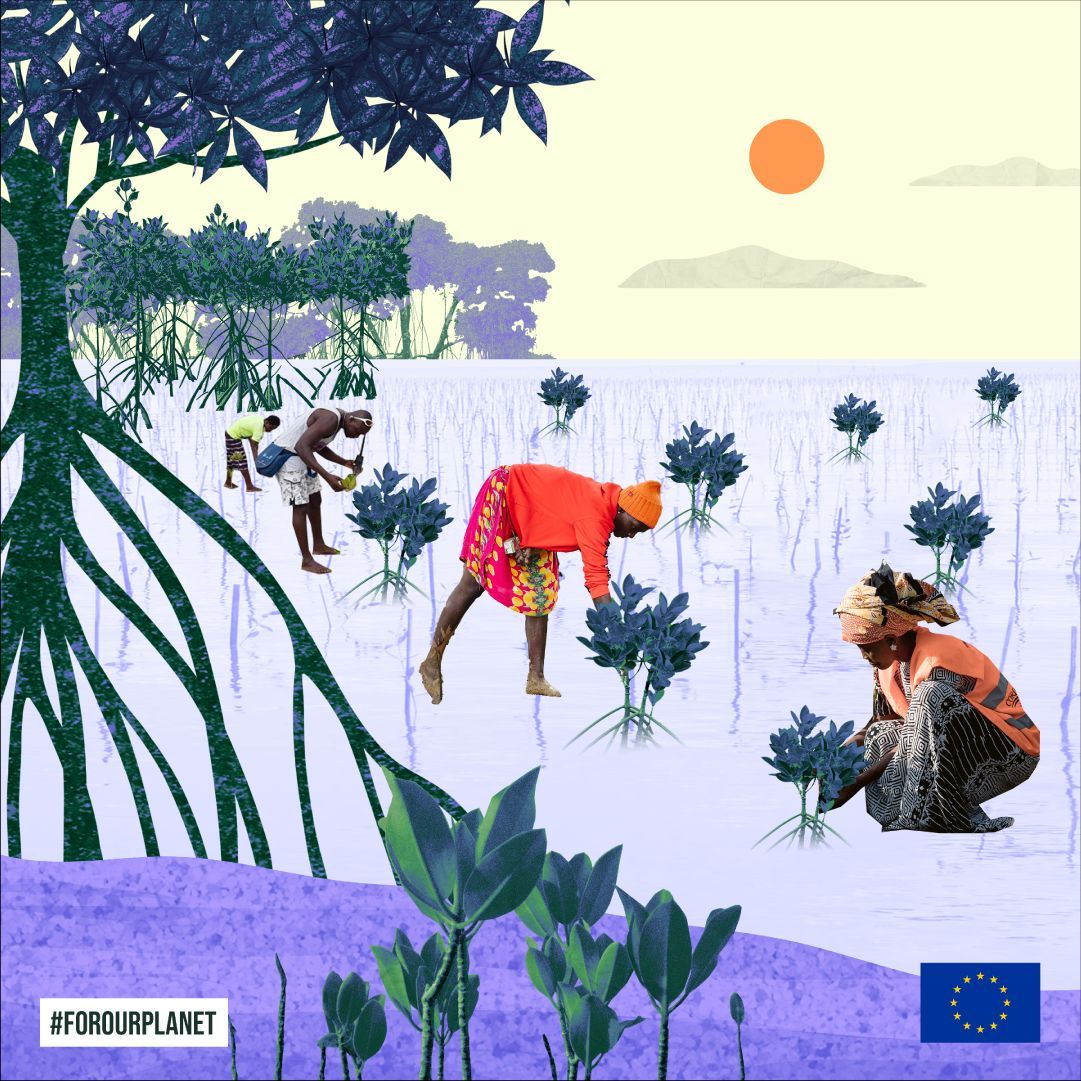 Small actions can lead to big changes. Yours too!

Let's join forces to help restore and protect nature and climate, across the 🌍 globe

For all people, and #ForOurPlanet
eeas.europa.eu/eeas/for-our-p…