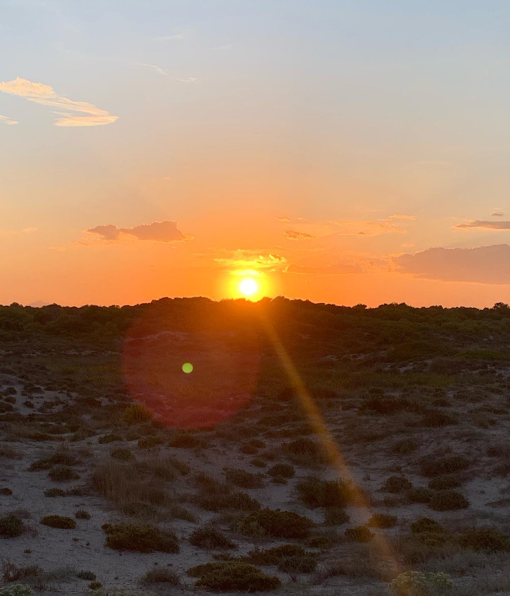 ⠀
⠀
⠀⠀𝂅  ☀️  ׅ⠀ ᰵ    I    𝕙𝕠𝕡𝕖    ٬    ʏou    ٫    𝚕𝚘𝚟𝚎   ⠀⠀⠀⠀⠀⠀  ⠀ ʏour    𝐥𝐢𝐟𝐞    𝕟𝕠𝕨     . . .    
⠀