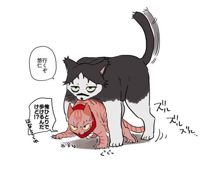 猫化 脹虎 