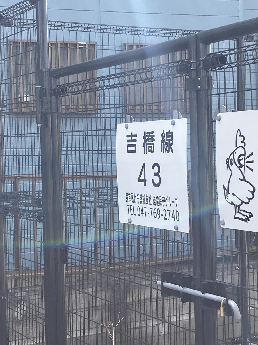 104hero2010's tweet photo. 【鉄塔を下から見上げてみた】
千葉県吉橋線43。デッキがあって線が縦に繋がってるフォルムがカッコいい!
#鉄塔 #鉄塔を下から見上げてみた
#nwdel
#Steeltower #Lookingupfrombelow https://t.co/Nzo5Y4fAIA