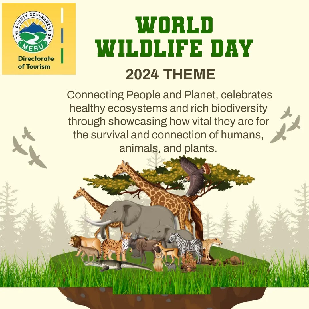 DiscoverMeru's tweet image. Did you know on 3rd March is #WorldWildlifeDay ?.

What is your favourite wild animal? 

#DigitalInnovation #TechForWildlife #WWD2024 #Magicalmeru #KaribuMeru #tembeameru #homeofadventure #MeruCounty #magical #KenyaParks #twendenimeru