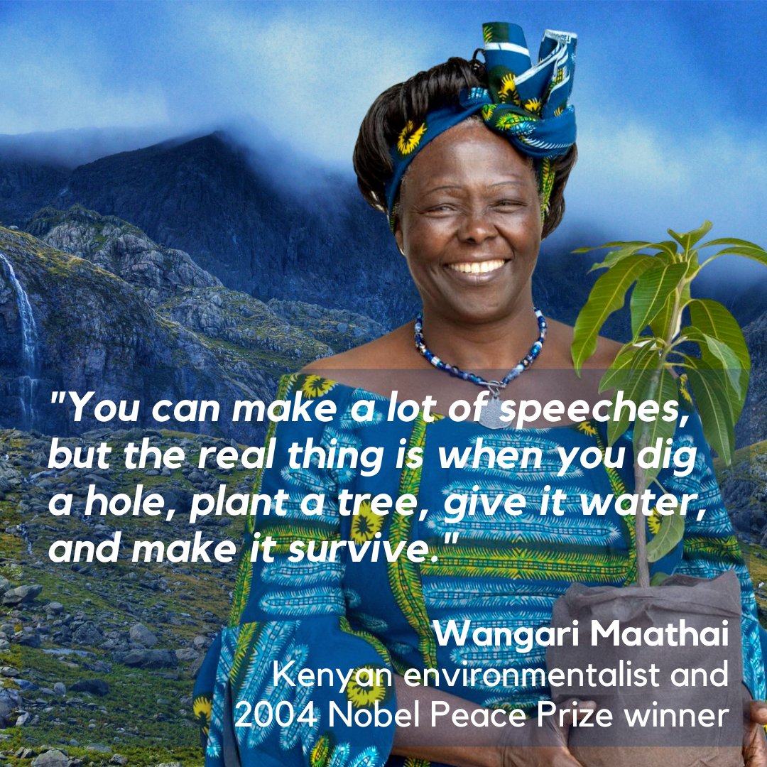 We are remembering the great icon of our times Wangari Maathai,her passion and dedication for the environment continues to inspire us all. @greenfaithworld @Greenisamissio1 @MarkBallabon @Greenhomeland1