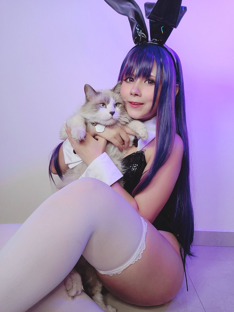 whiterabbit_exe's tweet photo. Muero por tener una sesion de fotos profesional con mi gordito. Siempre que hago fotos en cosplay se quiere meter. uwu

#aihoshino #oshinoko #aihoshinocosplay #kawaiigirl #ragdoll #cosplay https://t.co/gsalDvo6qJ