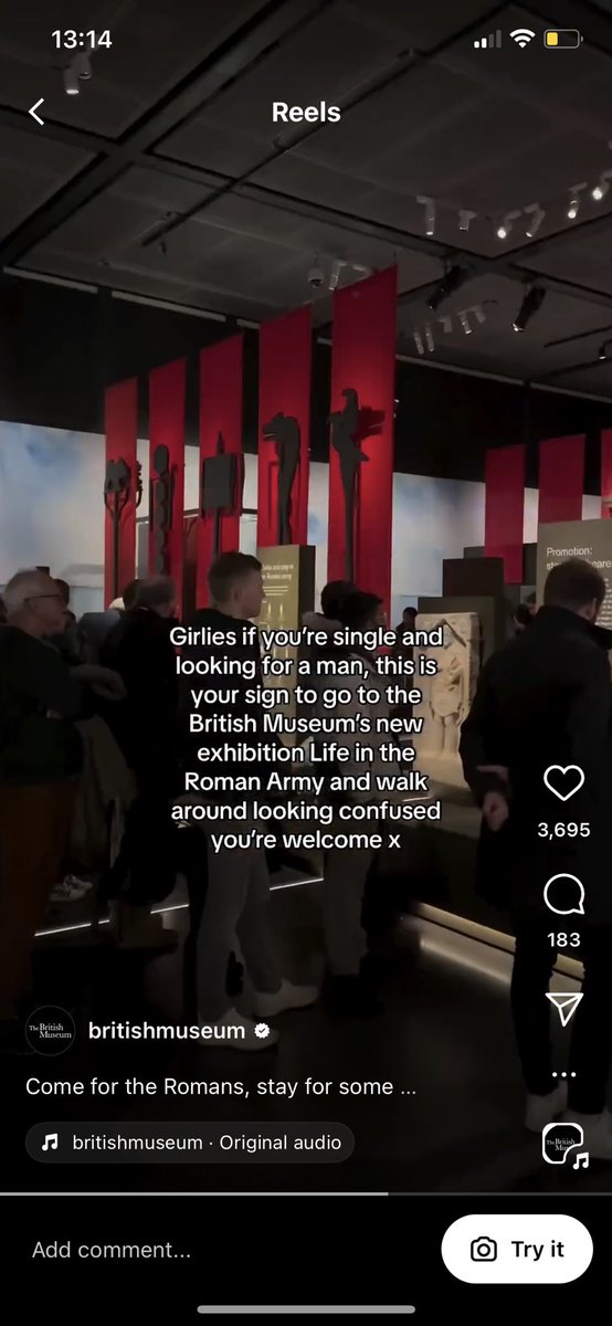 are you fucking joking