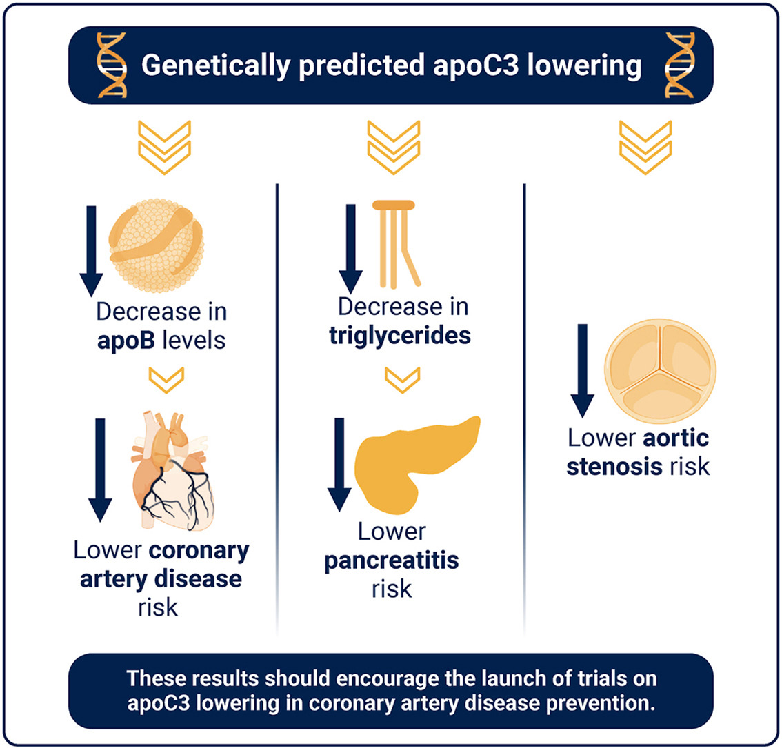 Atherosclerosis (@athjournal) on Twitter photo This study by <a href="/ArsenaultBenoit/">Benoit Arsenault</a> and <a href="/egagnon_phd/">Eloi Gagnon</a> provides evidence that apoC3 lowering could result in widespread benefits for cardiometabolic health and encourage the launch of trials on apoC3 inhibition for CAD prevention
đatherosclerosis-journal.com/article/S0021-âŠ
<a href="/society_eas/">European Atherosclerosis Society</a> <a href="/ELS_Cardiology/">Elsevier Cardiology</a> This study by <a href="/ArsenaultBenoit/">Benoit Arsenault</a> and <a href="/egagnon_phd/">Eloi Gagnon</a> provides evidence that apoC3 lowering could result in widespread benefits for cardiometabolic health and encourage the launch of trials on apoC3 inhibition for CAD prevention
đatherosclerosis-journal.com/article/S0021-âŠ
<a href="/society_eas/">European Atherosclerosis Society</a> <a href="/ELS_Cardiology/">Elsevier Cardiology</a>