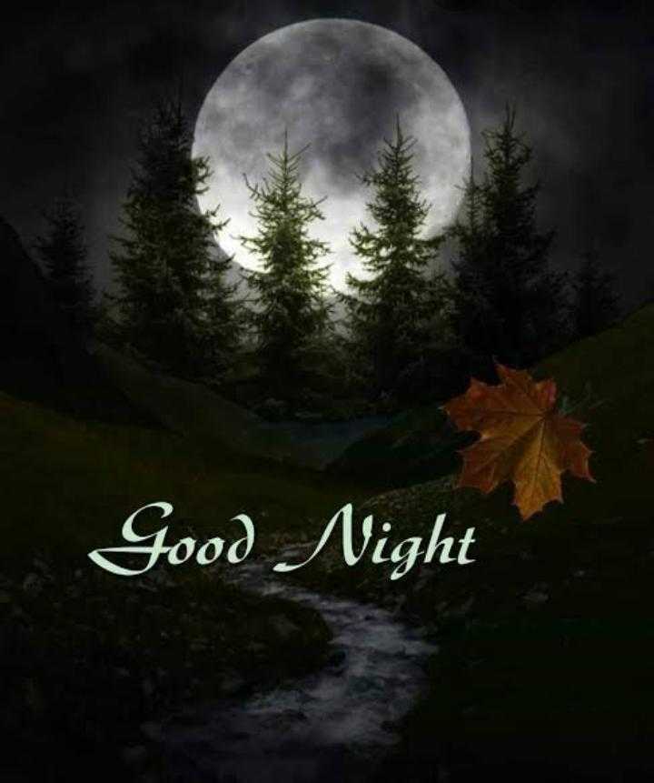 Good night dear friends
Have a sweet dreams ❤️❤️❤️
#goodnight #ArrestRatanlalJain #Crypto #sundayvibes