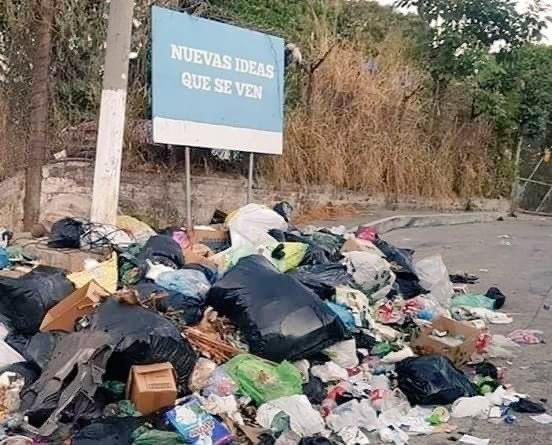 @frivas2021 tweet media