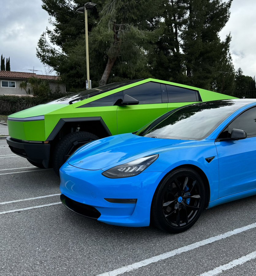 TeslaSynopsis tweet picture