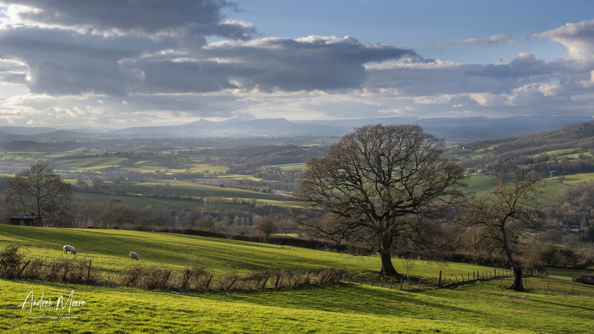 School pickups after orchestra rehearsal aren't so bad when you get views like this.
<a href="/Habsmonmouth/">Haberdashers' Monmouth School</a> <a href="/MonSchGirls/">Monmouth Girls</a> <a href="/MonGirlsMusic/">Monmouth Girls Music</a>