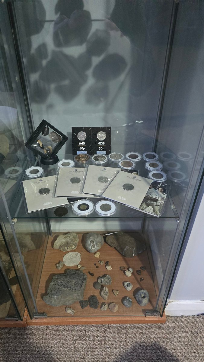 Happy Sunday you lovely people. Thought I'd share my collection of finds, coins and fossils.