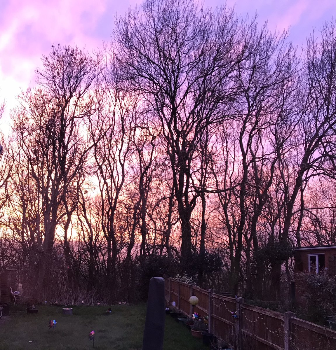 cfs_jo's tweet image. Pretty sky this evening. #JoyInSpring