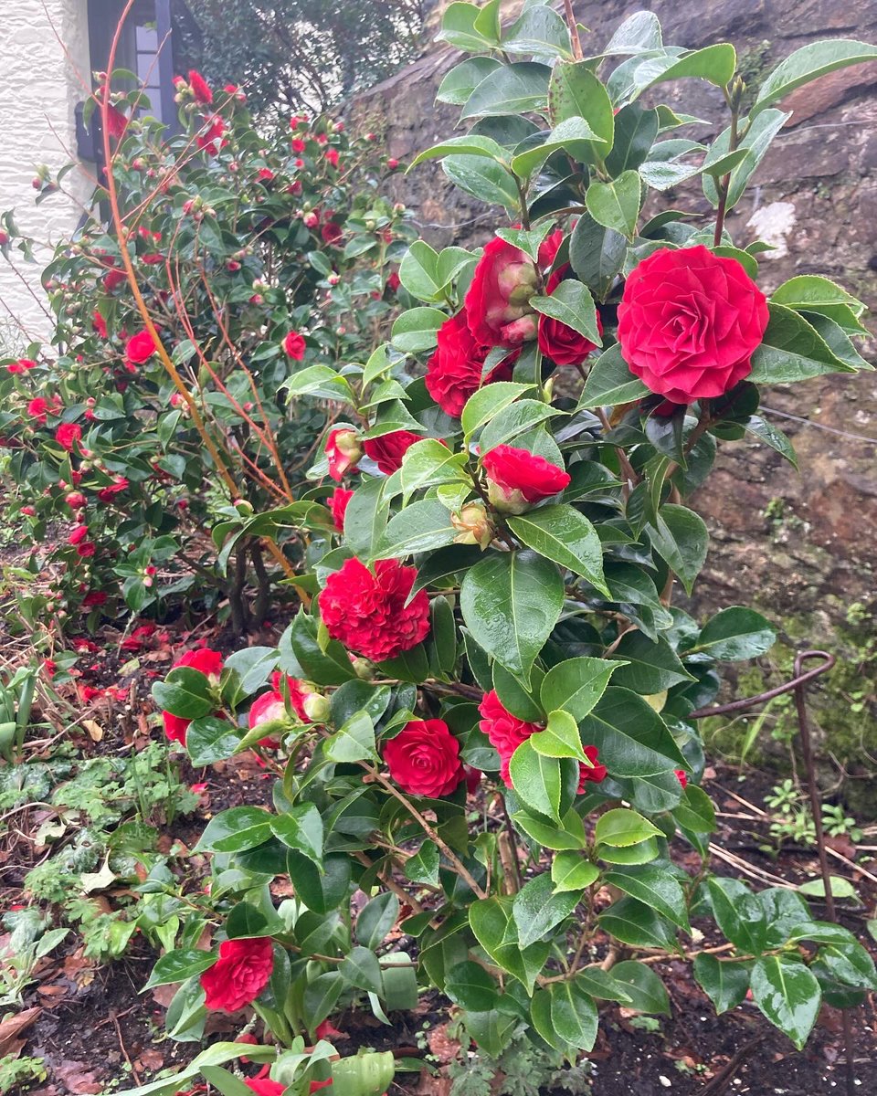 Richard Reynolds tweet media