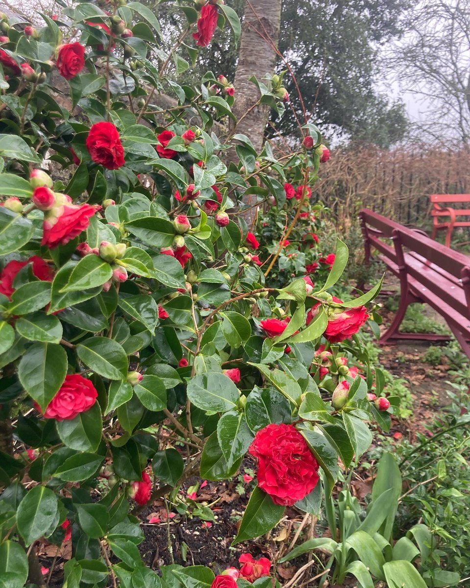 Richard Reynolds tweet media