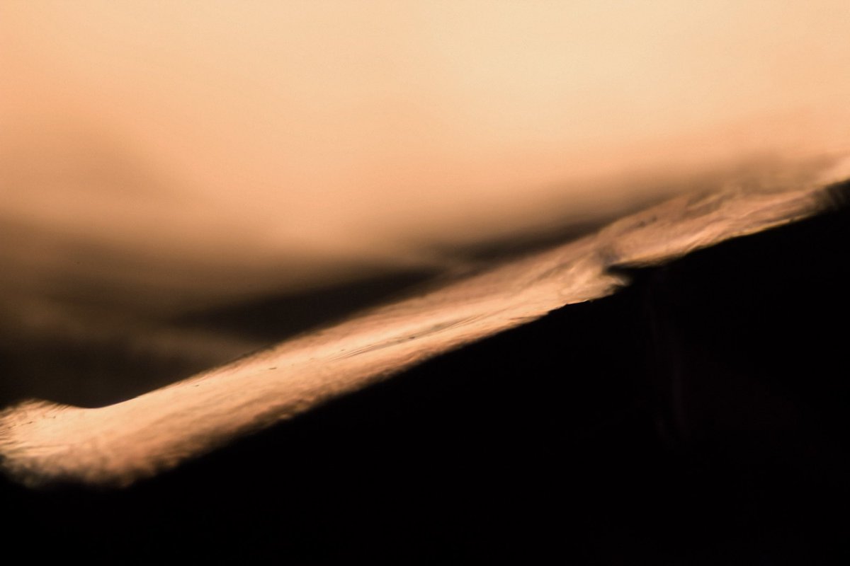 Some <a href="/dunemovie/">DUNE</a> inspired abstract photos I captured with a macro lens  #Dune #DunePart2 #Arrakis