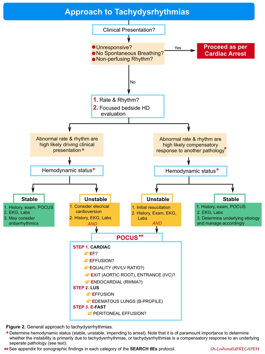 ZHeart11768530's tweet photo. 🔴 Clinical Approach to Diagnosis and Management of Wide Complex Tachycardia in Adult Patients
https://t.co/SpXXYnw3Cw https://t.co/v19gusuAAl