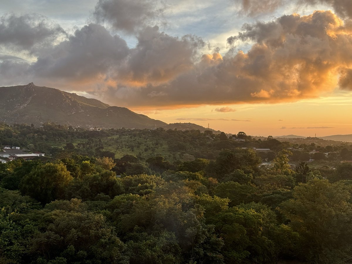 John O'Donoghue ๐ฎ๐ช๐ช๐บ (@jod_ehealth) on Twitter photo Stunning welcome for the first day of research activities in Blantyre, #Malawi. Lots of scope for #ehealth and #Digitalhealth collaboration. <a href="/UCCResearch/">UCC Research</a>, @BIS_UCC, <a href="/UCCPublicHealth/">UCC School of Public Health</a>, <a href="/CUBSucc/">Cork University Business School (CUBS)</a>, <a href="/UCCMedHealth/">UCC Medicine & Health</a>, <a href="/GHP_NTU/">NTU Global Health Program ๐</a>, <a href="/ghealthresearch/">gHealth Research</a>, <a href="/IrlEmbMalawi/">Ireland in Malawi</a>. <a href="/jfcryan/">John F. Cryan</a>, <a href="/TDivala/">Titus Divala MD MPH MS PhD๐ฒ๐ผ</a>. Stunning welcome for the first day of research activities in Blantyre, #Malawi. Lots of scope for #ehealth and #Digitalhealth collaboration. <a href="/UCCResearch/">UCC Research</a>, @BIS_UCC, <a href="/UCCPublicHealth/">UCC School of Public Health</a>, <a href="/CUBSucc/">Cork University Business School (CUBS)</a>, <a href="/UCCMedHealth/">UCC Medicine & Health</a>, <a href="/GHP_NTU/">NTU Global Health Program ๐</a>, <a href="/ghealthresearch/">gHealth Research</a>, <a href="/IrlEmbMalawi/">Ireland in Malawi</a>. <a href="/jfcryan/">John F. Cryan</a>, <a href="/TDivala/">Titus Divala MD MPH MS PhD๐ฒ๐ผ</a>.