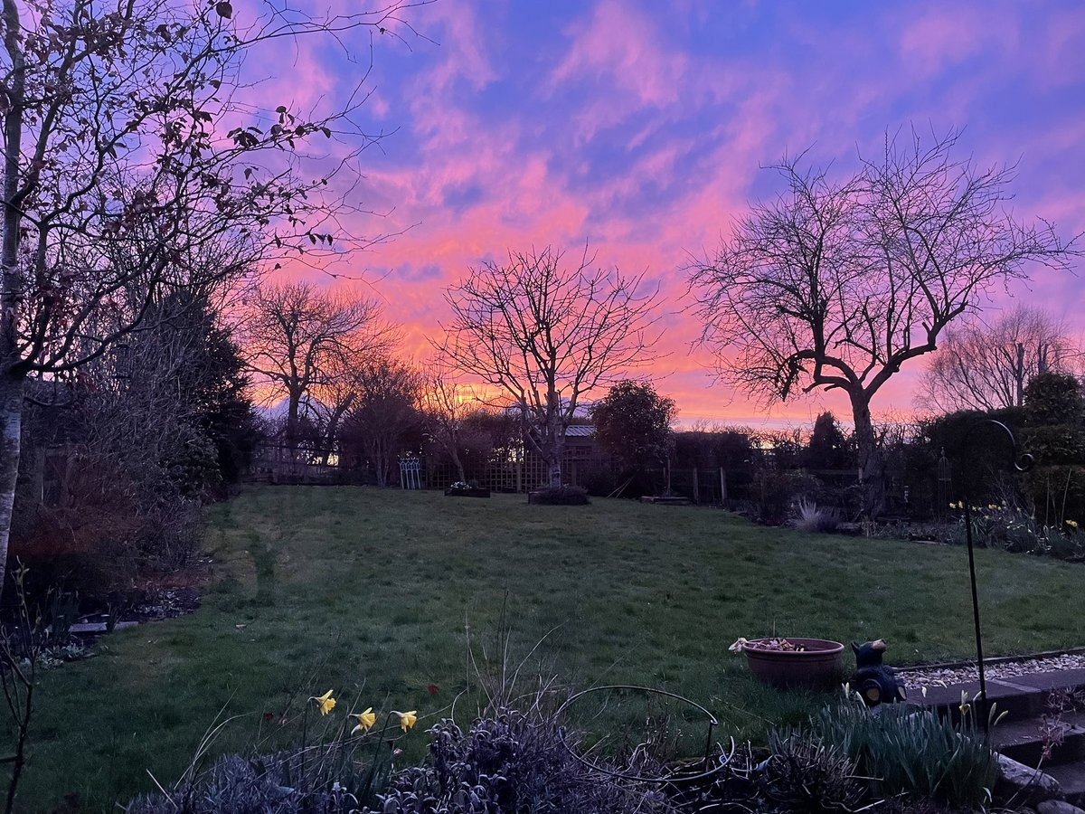 Fluffy blaas and some sourdough making for some good kitchen aroma at Blackadder End today plus a nice sunset to round off the weekend.