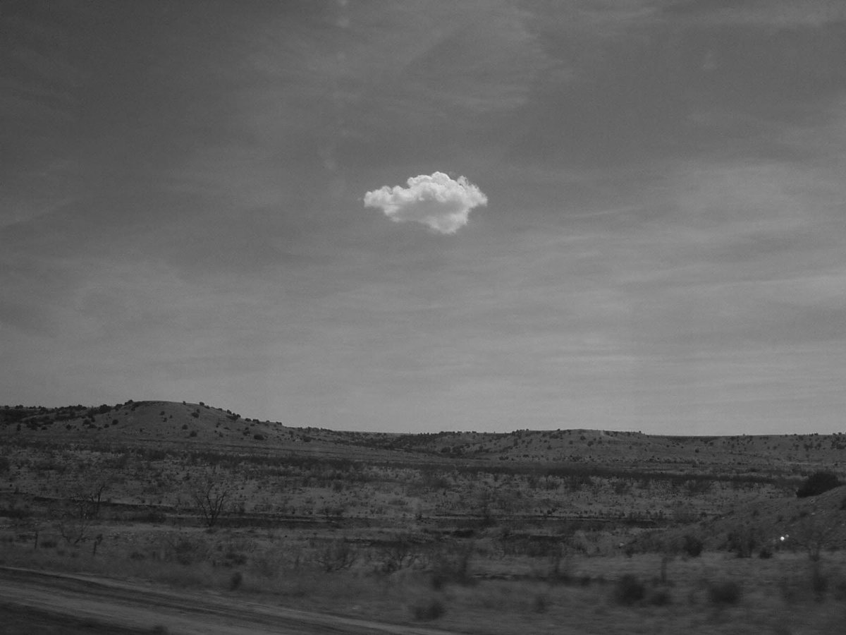 joanna pocock tweet media