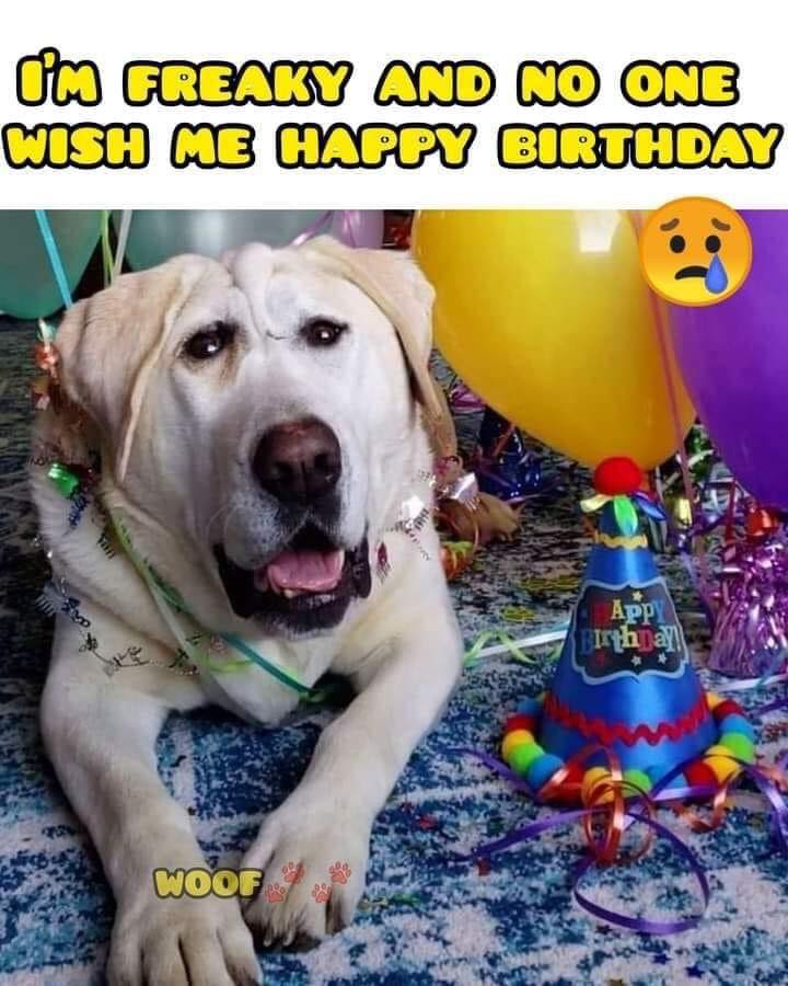 Pawzazzle's tweet photo. Oh sweetheart, wish you the best ♥️ https://t.co/wcOANXBrYZ