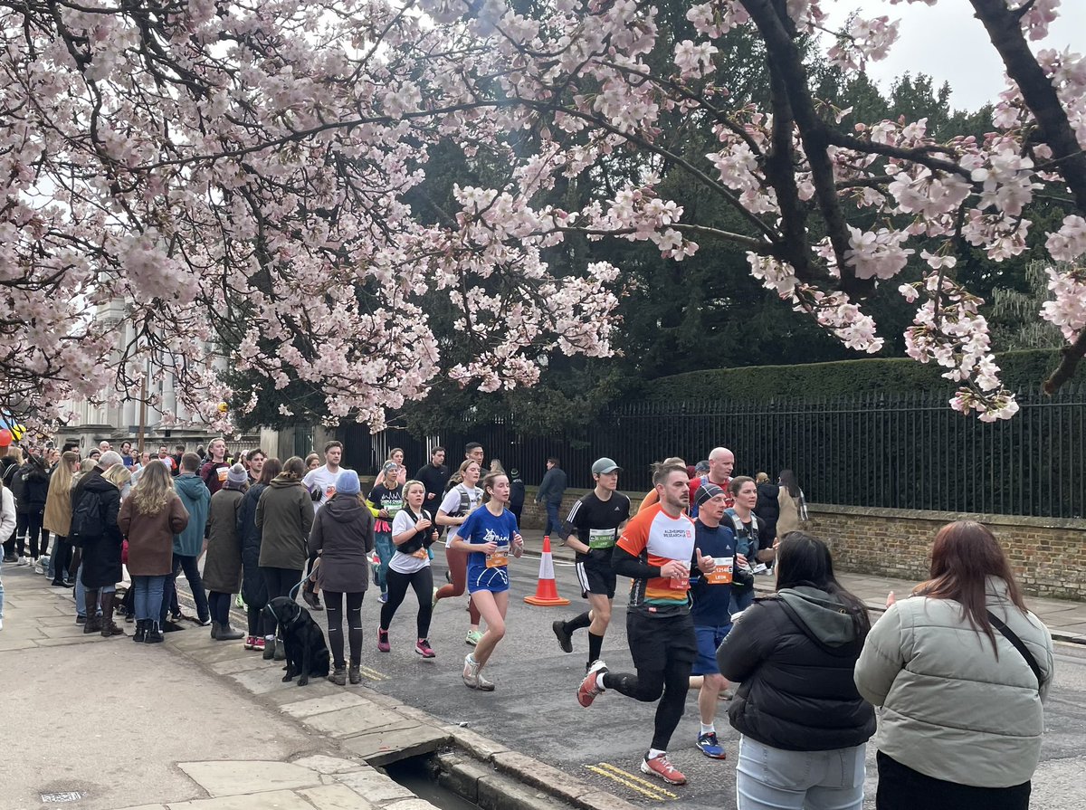 Peter Studdert tweet media