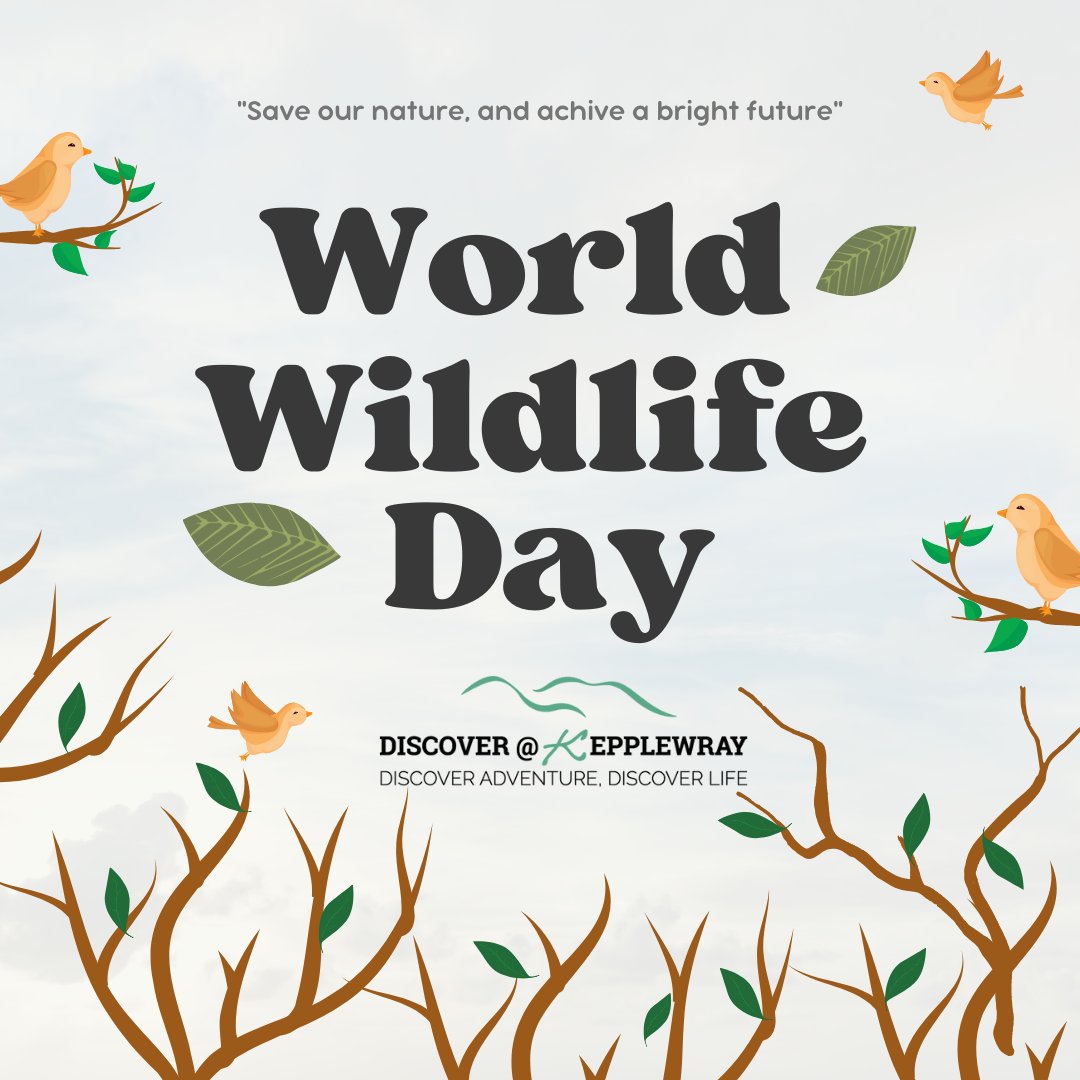 DiscoverKepplewray (@kepplewray) on Twitter photo 