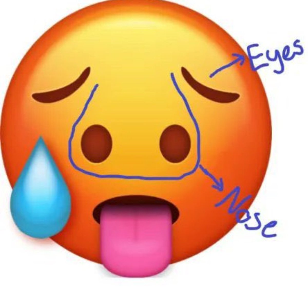 Vaisakh Nandan tweet media