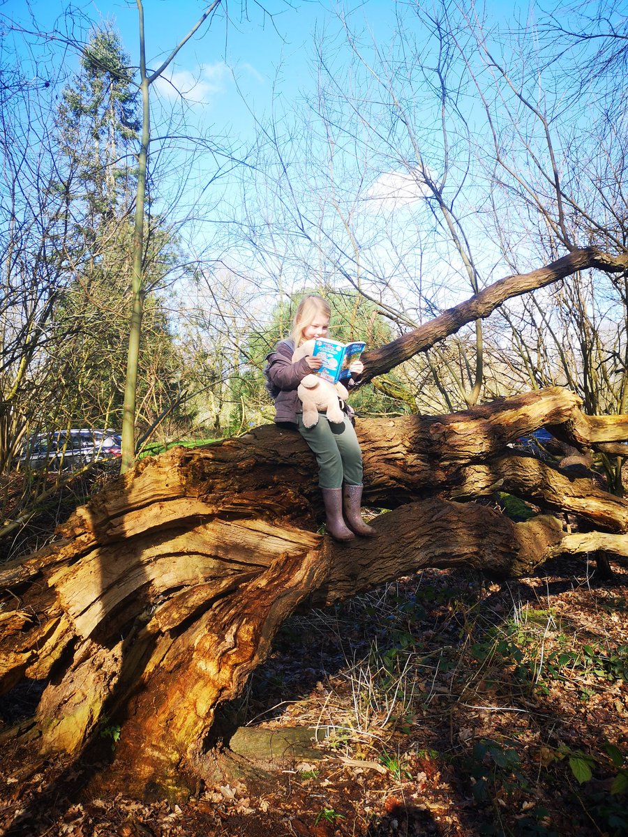 Mrs Allan tweet media