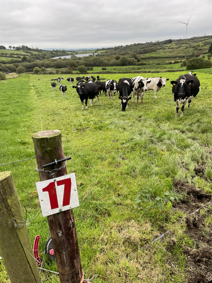 farmgalore.ie/product/paddoc…  Plates can bend around posts if needed. Lifetime lasting