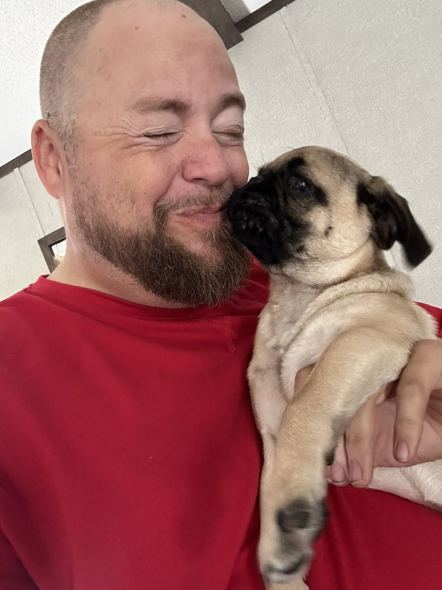 TexasBoySlim's tweet photo. My little princess! #puglife https://t.co/fSytcRk9NT