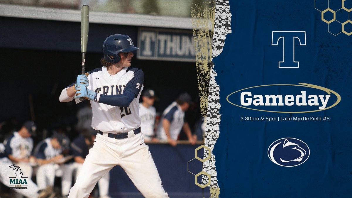 Trine Baseball tweet media