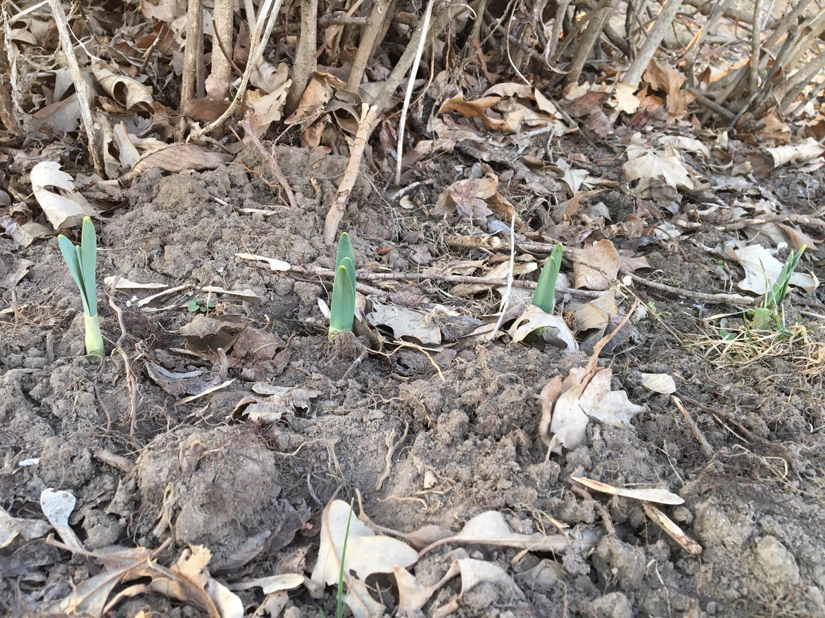 dailySTEM Chris Woods tweet media