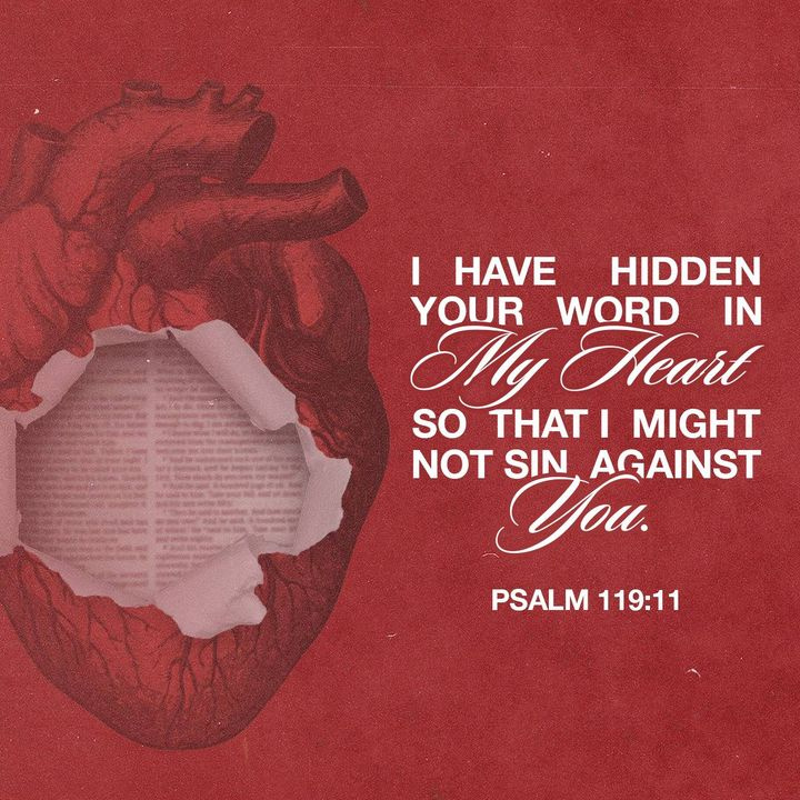 📖  I have hidden your word in my heart that I might not sin against you.  @yeshuathesavior @lyfetreker @vmmarty @messiahanthem @musiklaydee @ijust_believe_ @nameinbook @elliesangelwing @nancy757366841 @alivecausejesus @cheatagirl100 @darhar981 @lumarcel8489l