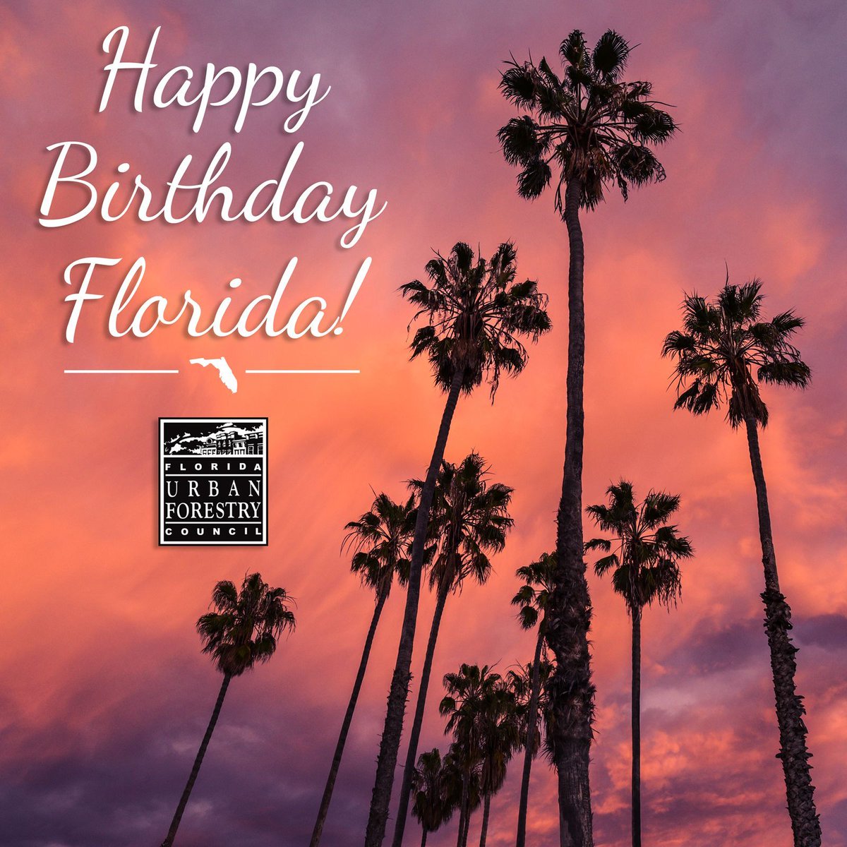 Happy birthday, Florida! On March 3, 1845, Florida became the nation's 27th state. Looking great at 179 years old - especially with all of her trees! 😁 

#UrbanForestry #FloridaTrees #HappyBirthday #Florida