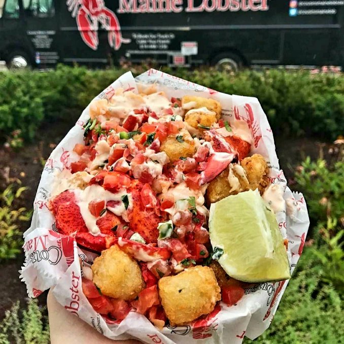 BLOOM BREW tweet media