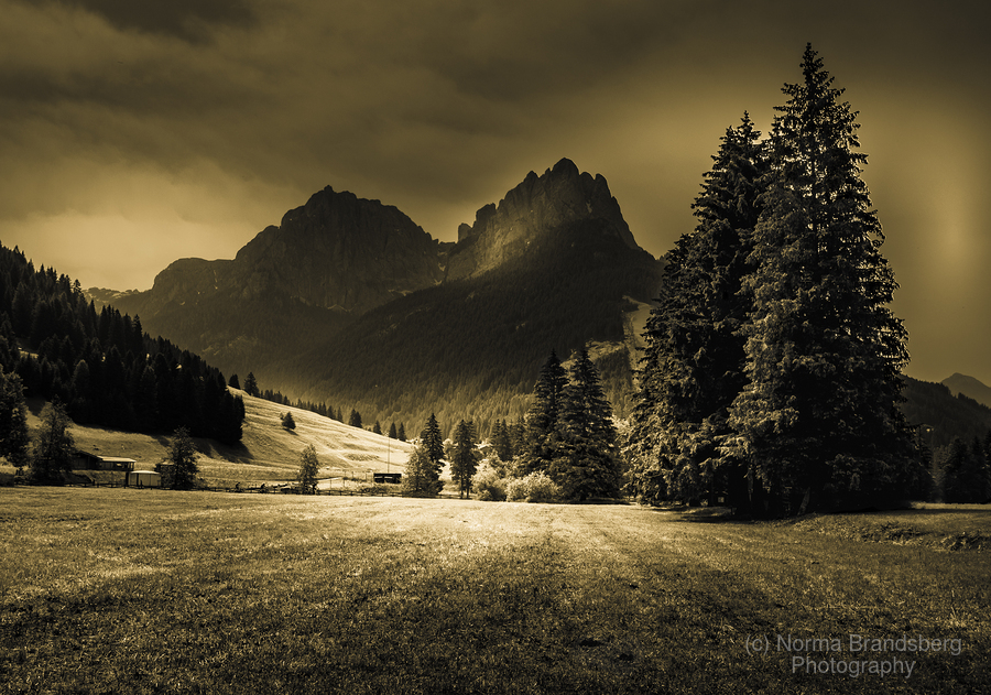 Dolomite Sepia Val di Garda Dolomiti Silhouette buy here: pictorem.com/979598/Val%20d… #mountains #dolomite #valdigarda #dolomiti #italy #nightphotography #art #fineart #landscapephotography #photography #landscapes #travel #travelphotography #buyintoart #ayearforart #MastoArt