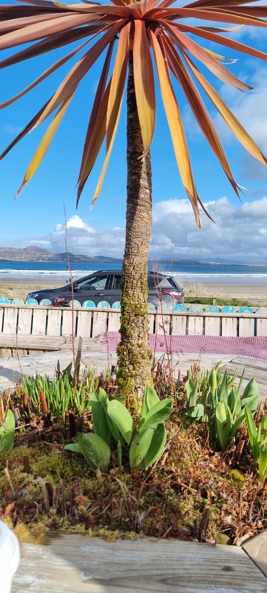 Stunning afternoon on Marblehill beach Dunfanaghy