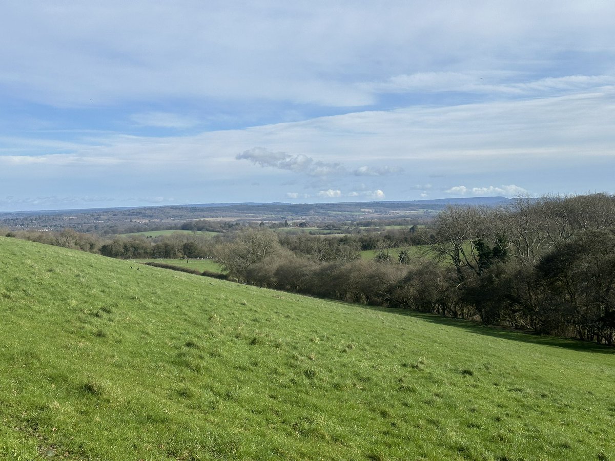 JenWalkingUK's tweet photo. Gentle stroll today around @QECP with some great birding. Buzzards and red kites soaring high above. Also spotted a pair of marsh tits flitting around in low branches too 🥰 https://t.co/uxHnsdYoCJ