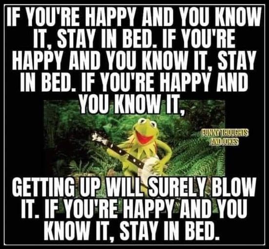 woofknight's tweet image. 