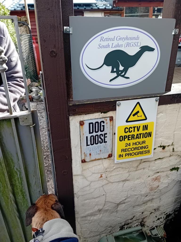 TheLengthsman's tweet photo. Today, I have been to a Pamper Party at #Witherslack to get my teeth and ear wax cleaned and nails cut.
I met some new friends 🧡 https://t.co/hxenrs3pjE