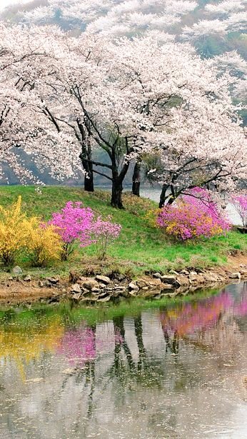 The wind whispered in my ear, sneaking into my bed through the open window - get up, SPRING HAS COME. HAPPY SPRING TO ALL....