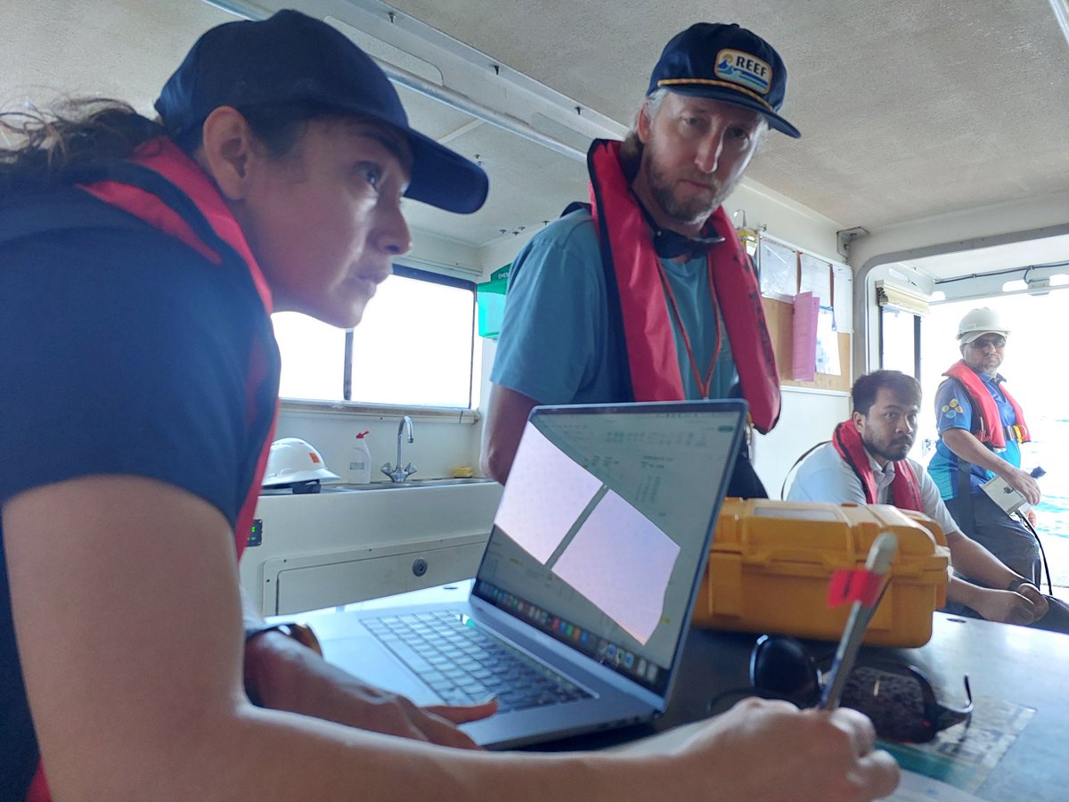 Eslam Osman tweet media