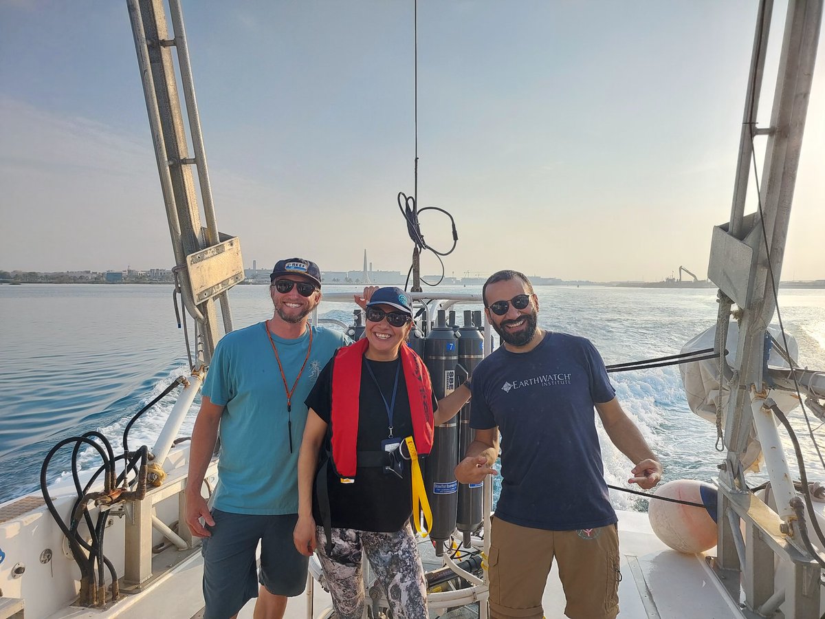 Eslam Osman tweet media