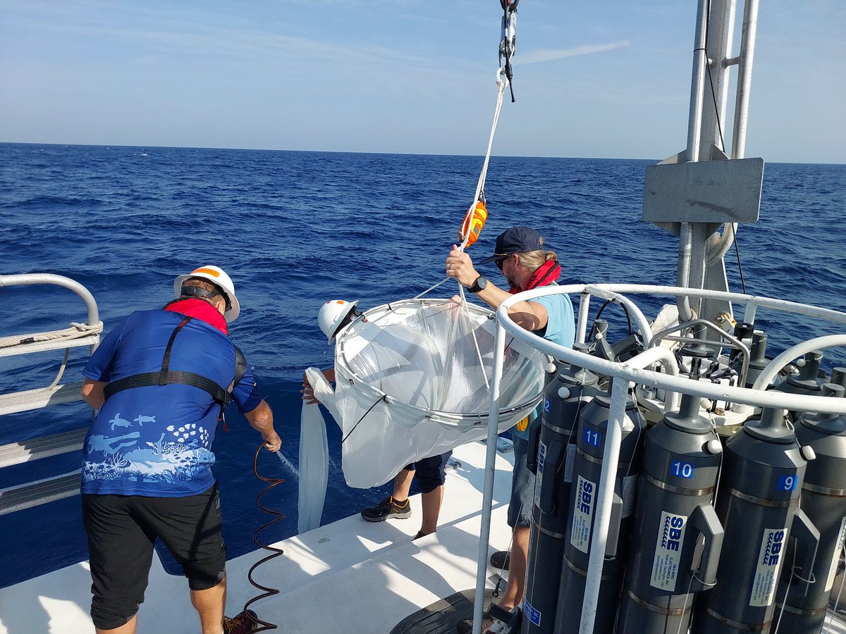 Eslam Osman tweet media